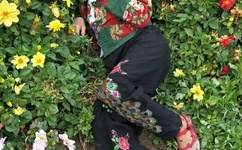 久久草香蕉频线观